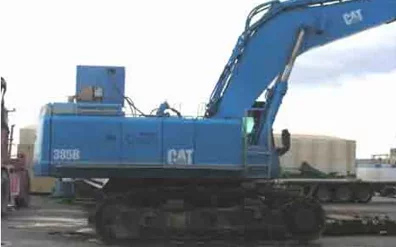 cat_385