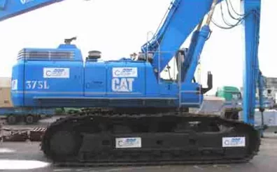 cat_375