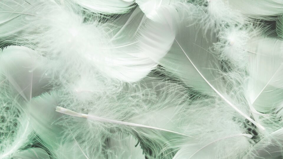 insta storia (1920 x 1080 px).jpeg