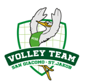 logo-volley-trasp