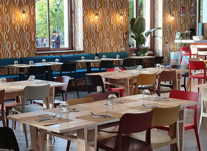 55121f_6fd7c30992bf4570be57771c21ea9949~mv2.jpeg 55121f_6fd7c30992bf4570be57771c21ea9949~mv2.jpeg