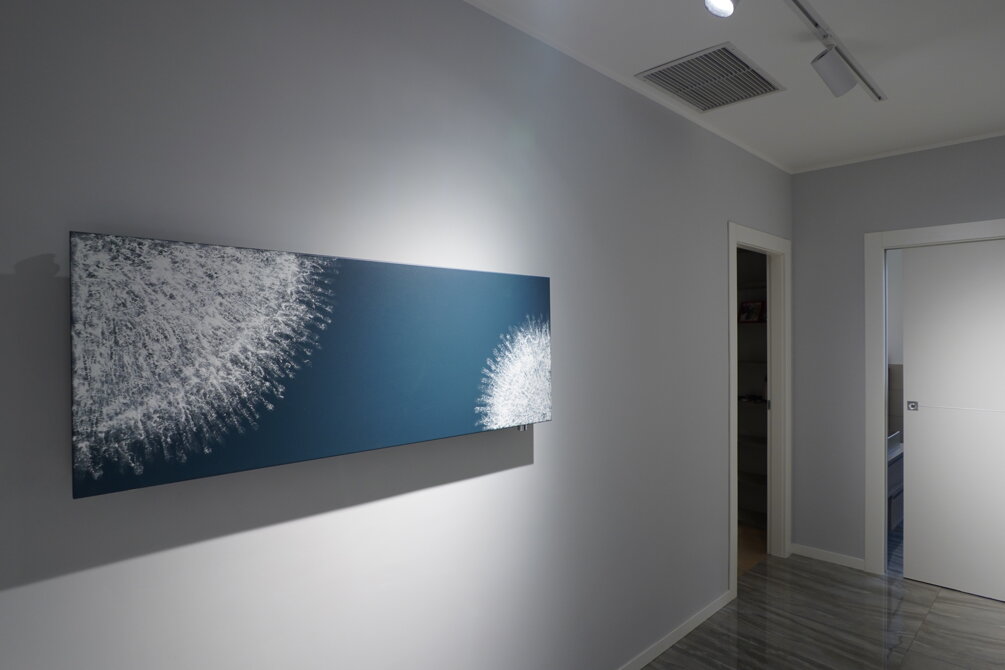 dsc05981.jpeg dsc05981.jpeg