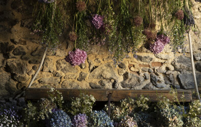 eyJmciI6IkQmI3hFOTtjb3JhdGlvbiBmbG9yYWxlIGF2ZWMgZGVzIGZsZXVycyBzJiN4RTk7Y2gmI3hFOTtlcyBldCBob3J0ZW5zaWFzIGRhbnMgdW4gYXRlbGllciBydXN0aXF1ZSJ9