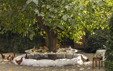 eyJmciI6IlRhYmxlIGRlIGphcmRpbiBkJiN4RTk7Y29yJiN4RTk7ZSBzb3VzIHVuIGFyYnJlIGF2ZWMgcG91bGVzIGFsZW50b3VycyJ9