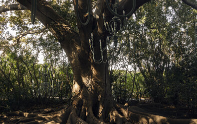 eyJmciI6IkdyYW5kIGFyYnJlIGF2ZWMgcmFjaW5lcyBleHBvcyYjeEU5O2VzIGV0IGx1c3RyZXMgc3VzcGVuZHVzLiJ9