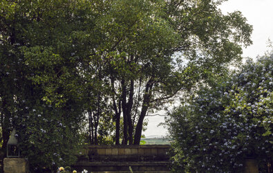 eyJmciI6IlRhYmxlIGRyZXNzJiN4RTk7ZSBlbiBwbGVpbiBhaXIgYXZlYyBkJiN4RTk7Y29yYXRpb25zIGZsb3JhbGVzLCBlbnRvdXImI3hFOTtlIGRlIHZlcmR1cmUifQ==