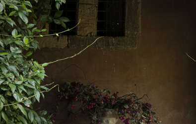 eyJmciI6IlRhYmxlIGRlIGphcmRpbiBhdmVjIHZhc2UgZGUgZmxldXJzIHZpb2xldHRlcyBzb3VzIHVuZSBmZW4mI3hFQTt0cmUgYW5jaWVubmUgZW50b3VyJiN4RTk7ZSBkZSBmZXVpbGxhZ2UuIn0=