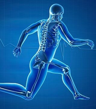 Illustrazione anatomica di un corpo umano in corsa, evidenziando lo scheletro.