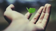 name_-gravity-_adus32i0jc-unsplash.jpeg