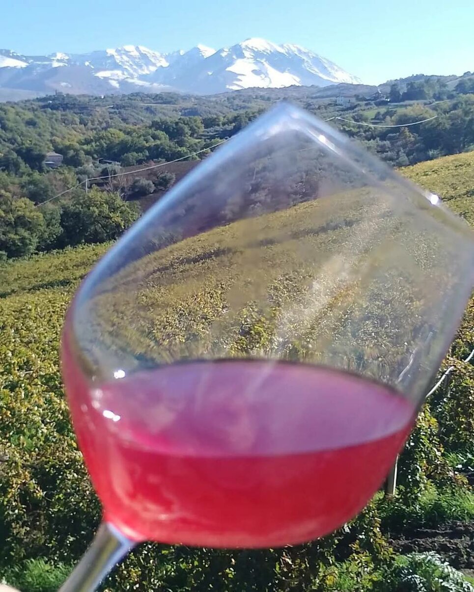 Calice di vino rosso con sfondo di vigneti e montagne innevate