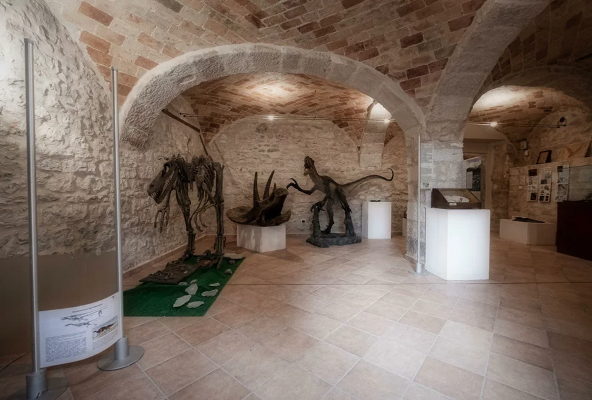Interno di un museo paleontologico con fossili e dinosauri in Abruzzo.