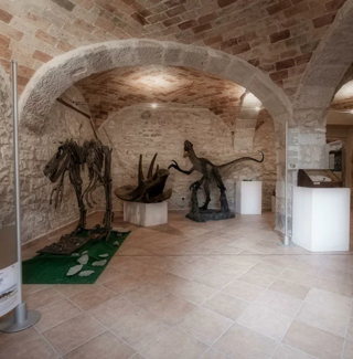 Interno di un museo con esposizione di scheletri di dinosauri.