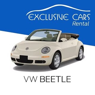 imgi_9_vwbeetle.jpeg