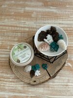 diffusore-cialde-in-cera-naturale-bosco-incantato