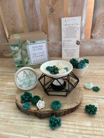 diffusore-cialde-in-cera-naturale-succulente