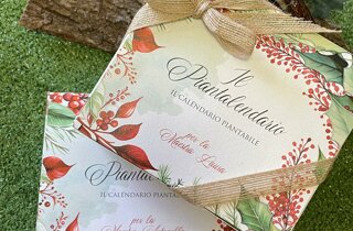 img_7588.jpeg img_7588.jpeg