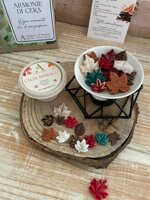 diffusore-cialde-in-cera-naturale-caldi-abbracci