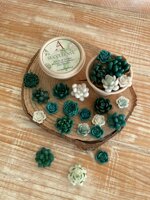 cialde-in-cera-naturale-succulente-30-gr