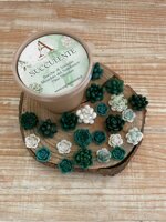 cialde-in-cera-naturale-succulente