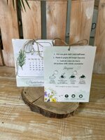 piantalendario-botanico