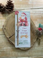 piantamatita-santa-claus