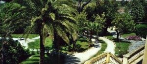 20231202_113954 (fileminimizer).jpeg