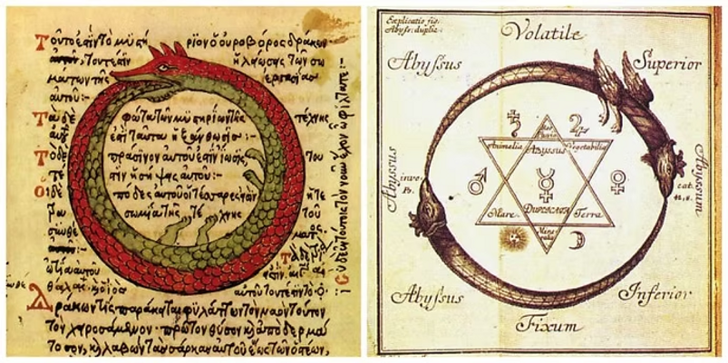 imgi_4_d82e78_5b94a668a3a2482c8f27b60b92d02855~mv2