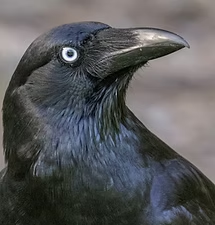 imgi_15_d82e78_fc42db2d2adf465d8a2850e3b8ddd2e6mv2