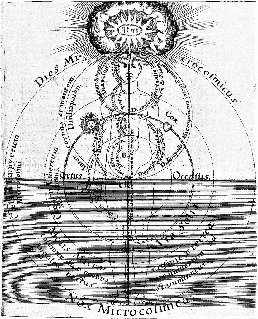 imgi_4_d82e78_741183fb391449ee82daf862a56c754b~mv2 imgi_4_d82e78_741183fb391449ee82daf862a56c754b~mv2