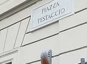 imgi_29_torchio