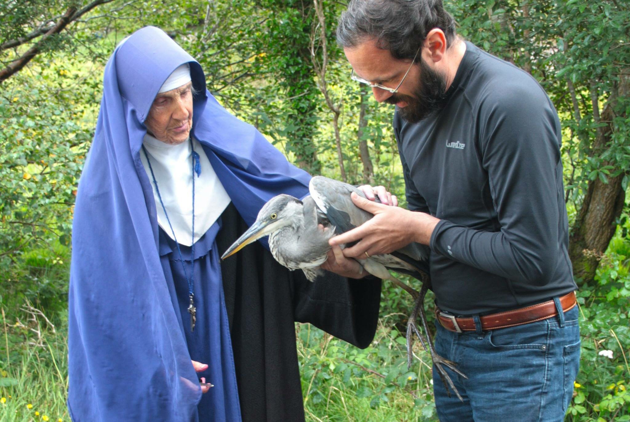 &laquo;Ma quanto c'&egrave; di vero?&hellip;&raquo;