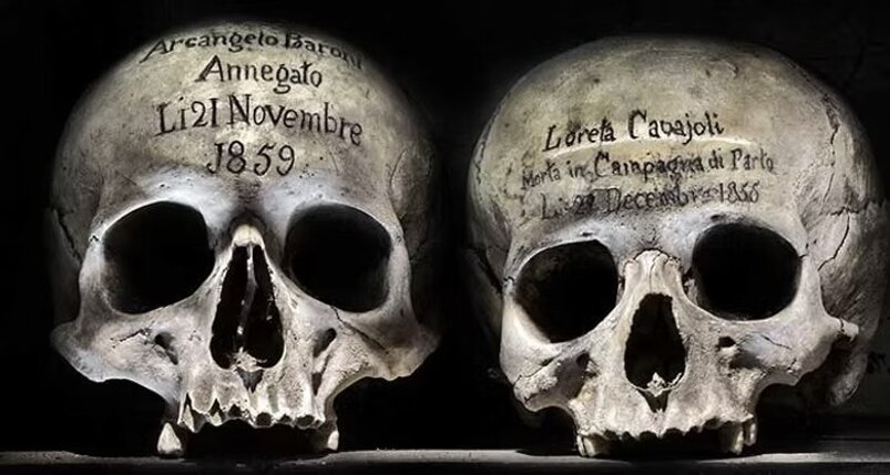 imgi_1_d82e78_2a20ae631b9a467a863040236e2ff4a8~mv2.jpeg imgi_1_d82e78_2a20ae631b9a467a863040236e2ff4a8~mv2.jpeg