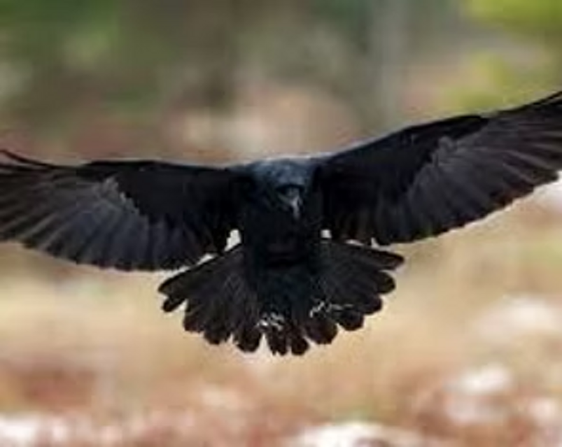 imgi_3_image-empty-state imgi_3_image-empty-state