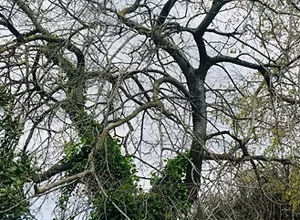 imgi_26_davanti%20al%20portone%20di%20mastro%20titta