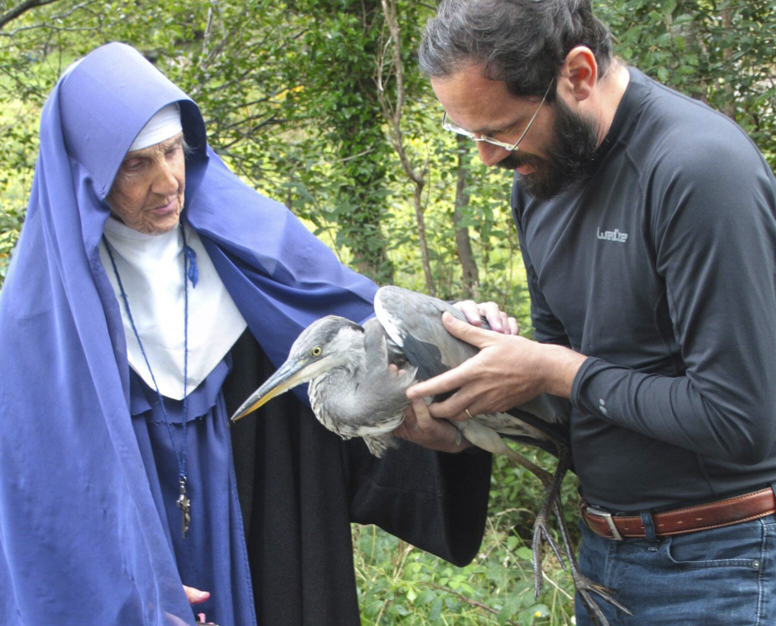 Ma quanto c'&egrave; di vero...?