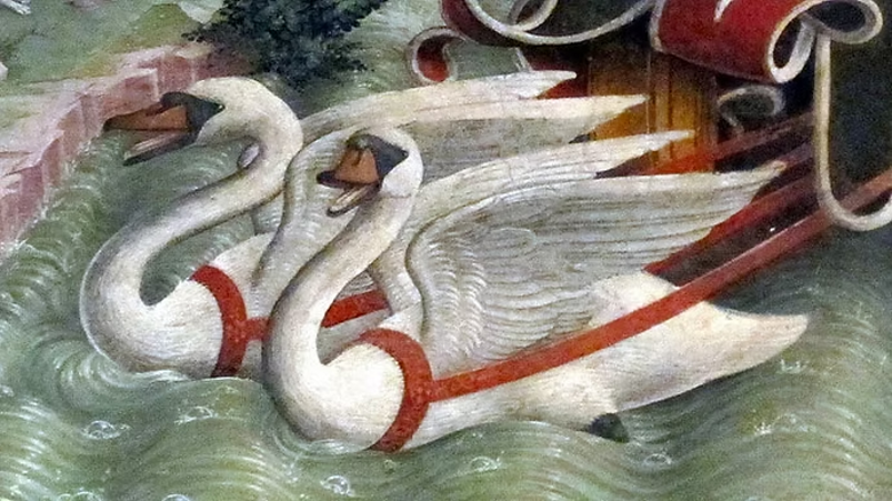 imgi_5_d82e78_c3597c01fa4a460ab309e421dc9526dd~mv2