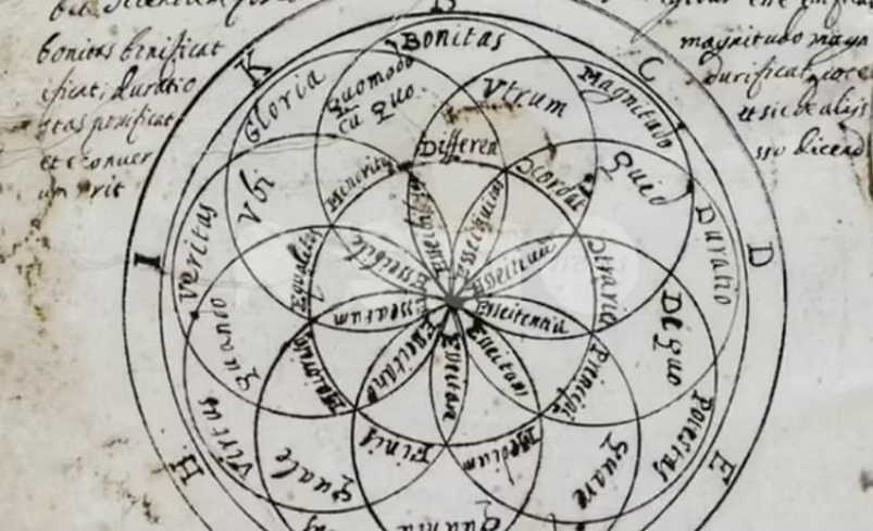 imgi_4_d82e78_f1aa3138ada74ba5bb45b4adcb14af0b~mv2 imgi_4_d82e78_f1aa3138ada74ba5bb45b4adcb14af0b~mv2