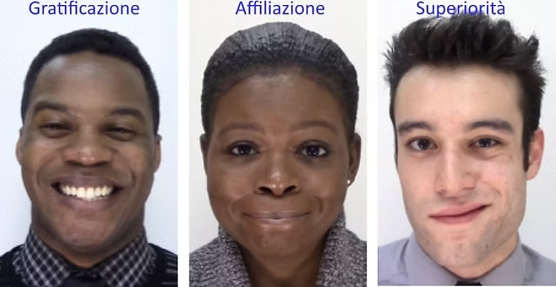 imgi_4_d82e78_46674b4192e84cf58c0c37500a4f1800~mv2 imgi_4_d82e78_46674b4192e84cf58c0c37500a4f1800~mv2