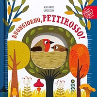 imgi_5_buongiorno pettirosso