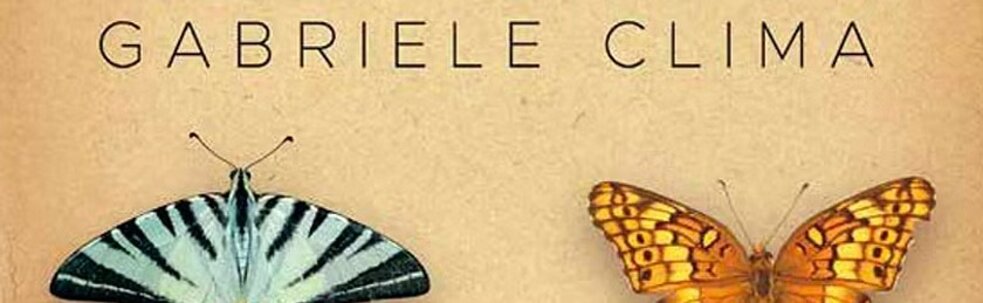 imgi_3_ali sbagliate scheda.jpeg imgi_3_ali sbagliate scheda.jpeg