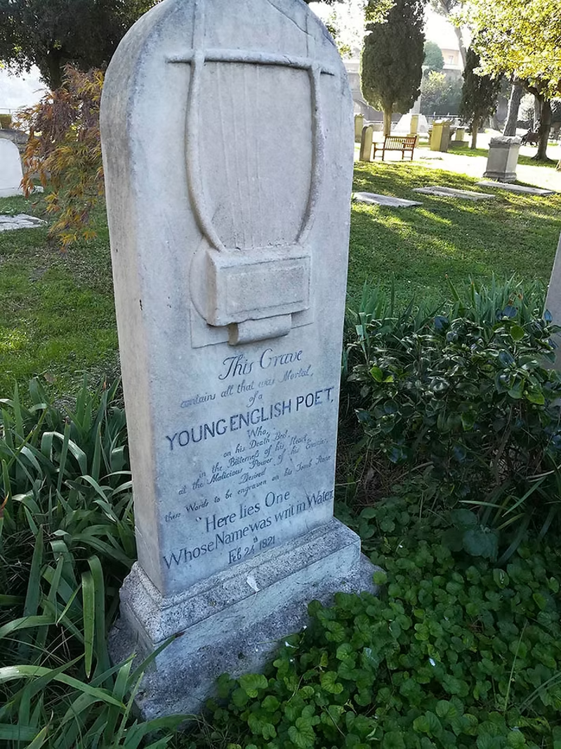 imgi_4_d82e78_8fda7d4a21304e0594bf92a5be6b66e5~mv2