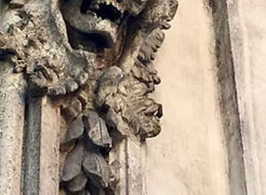 imgi_6_img-20210920-wa0004