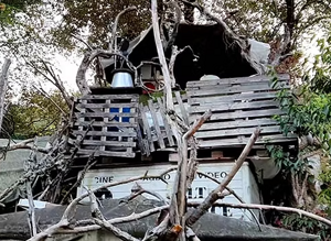 imgi_13_d82e78_0511b2517d414814b5dd39ca30ff525cf000