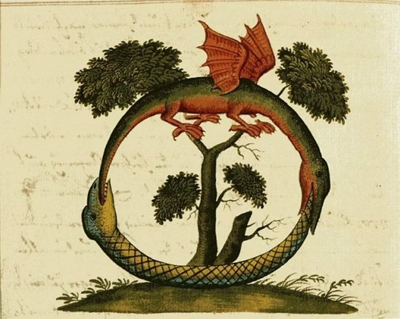 imgi_3_image-empty-state (6)