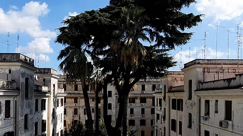 imgi_1_d82e78_c5831f113cae4974b4b5b0a8215cc2cb~mv2