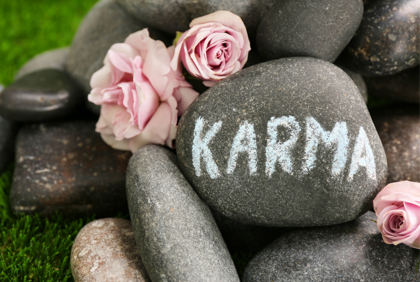 Karma, il segreto dei segni, costellazioni familiari e ...