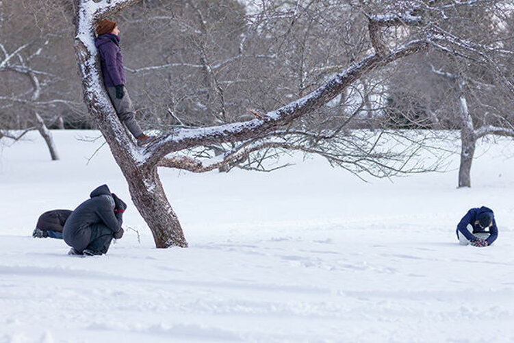 contact nadia cicurel.jpeg