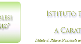 Logo del Centro Neurolesi Bonino Pulejo, Istituto di Ricovero e Cura a Carattere Scientifico a Messina