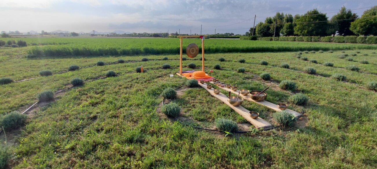 Setup di strumenti per una sessione di meditazione con campane tibetane in campo all'aperto.