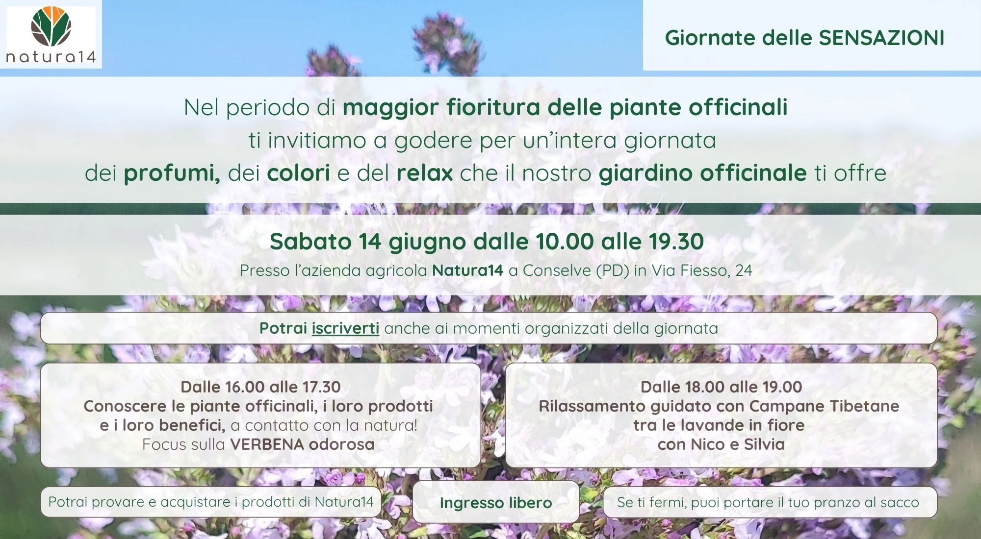 Giornate delle sensazioni – 14 giugno 2025